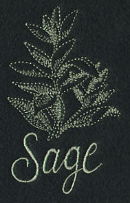 Herb Sketch - Sage