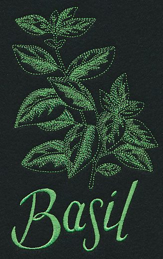 Herb Sketch - Basil