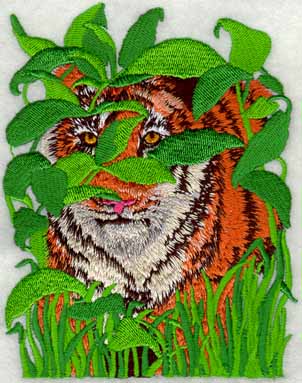 Peering Tiger