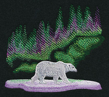 Northern Lights Polar Bear
