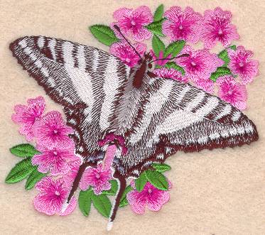 Zebra Swallowtail Butterfly