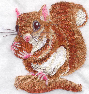 Flying Squirrel at Lunch