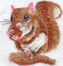 Flying Squirrel at Lunch