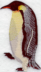 Emperor Penguin