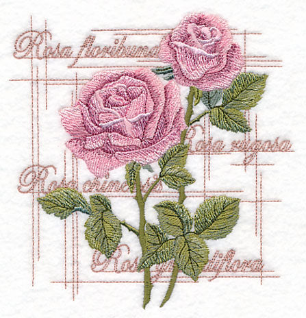 A Rose By Any Other Name