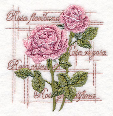 A Rose By Any Other Name