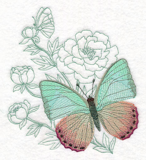 Butterfly Beauty - Green Charaxes