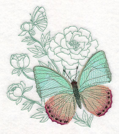 Butterfly Beauty - Green Charaxes