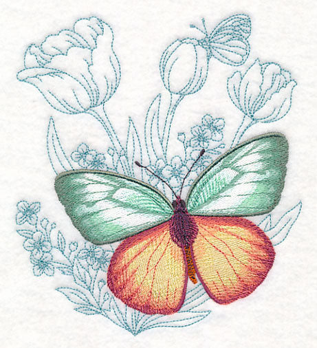 Butterfly Beauty - Cepora Aspasia