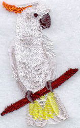 Citron Crested Cockatoo