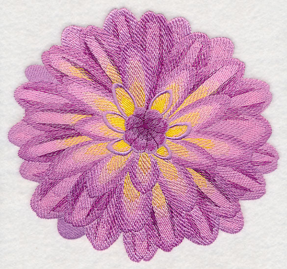 Bursting Bloom Dahlia