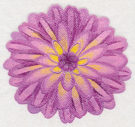 Bursting Bloom Dahlia