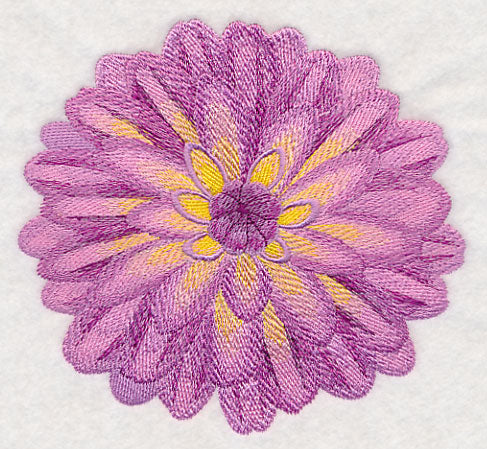 Bursting Bloom Dahlia