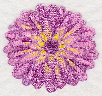 Bursting Bloom Dahlia