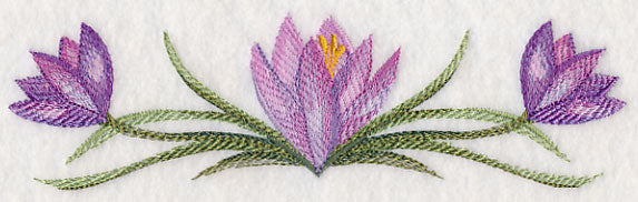 Crocus Border in Watercolor