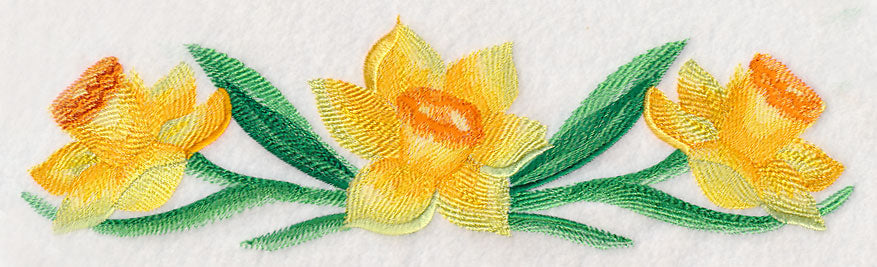 Daffodil Border in Watercolor