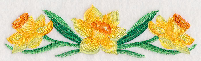 Daffodil Border in Watercolor