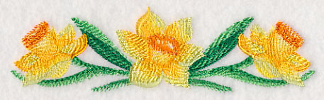 Daffodil Border in Watercolor