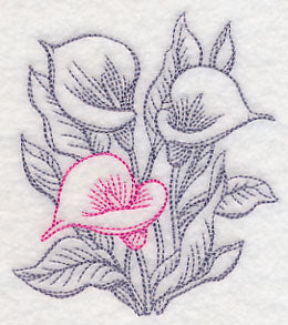 Garden Calla Lily Etching