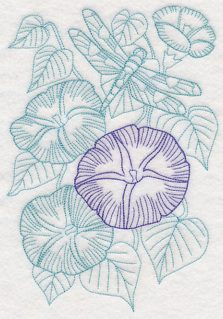 Garden Morning Glory Etching