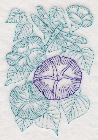 Garden Morning Glory Etching