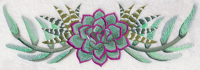Stylish Succulents Border