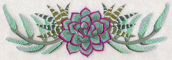 Stylish Succulents Border