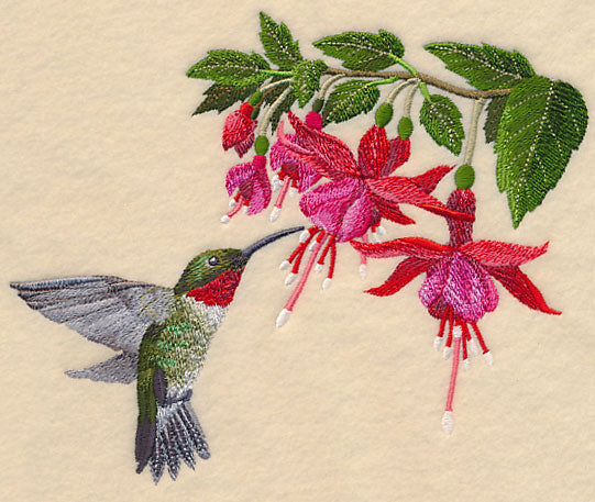 Ruby-Throated Hummingbird and Fuchsia