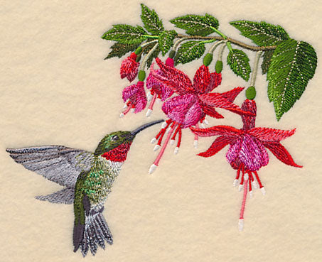 Ruby-Throated Hummingbird and Fuchsia