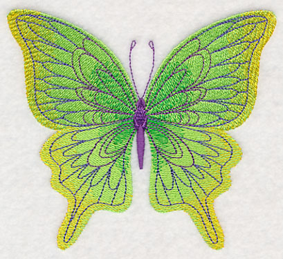 Spring Spectacular Butterfly 2