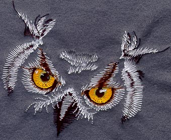 Owl Eyes
