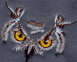 Owl Eyes