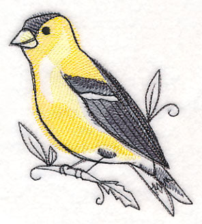 Goldfinch in Watercolor