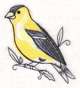 Goldfinch in Watercolor