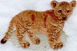 Baby Lion