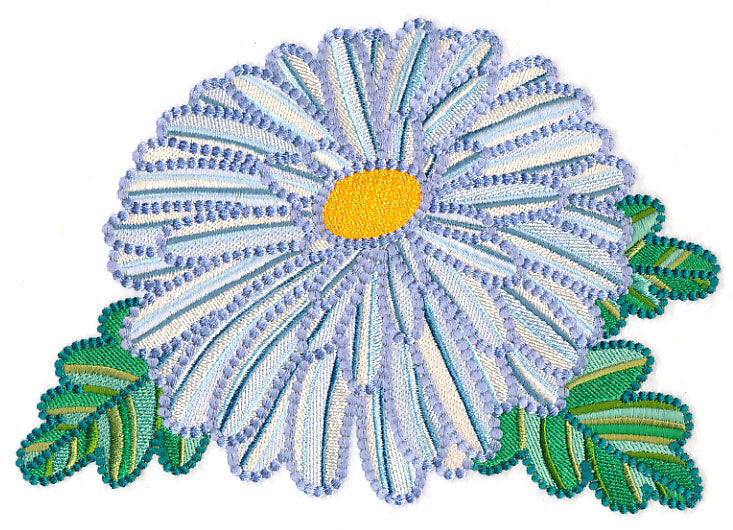 Delicate Garden Daisy