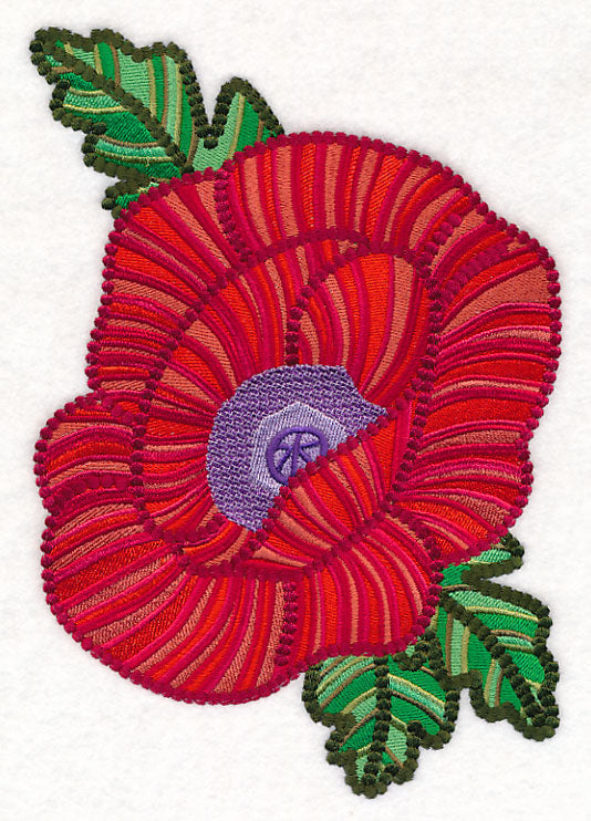 Delicate Garden Poppy