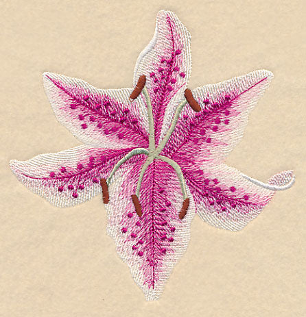 Heart of Lilies Single