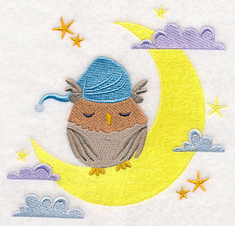 Sleeping Owl on the Moon