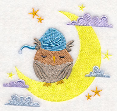 Sleeping Owl on the Moon