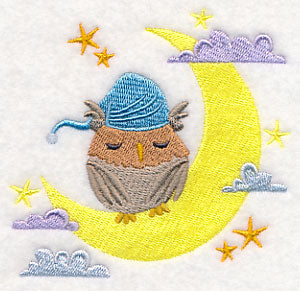 Sleeping Owl on the Moon