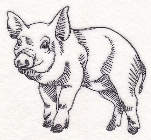Farm Animal Sketch - Pig
