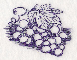 Grapes Etching