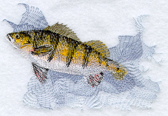 Yellow Perch