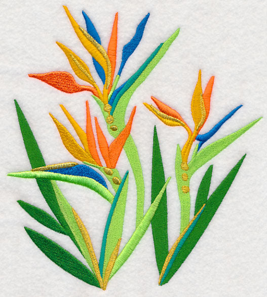 Some Like It Hot - Bird of Paradise