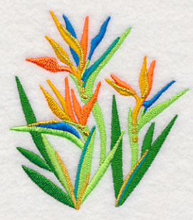 Some Like It Hot - Bird of Paradise