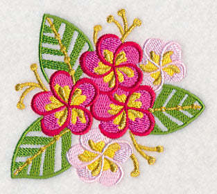 Some Like It Hot - Frangipani