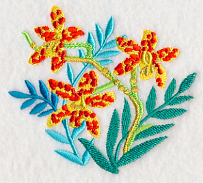 Some Like It Hot - Leopard Orchid