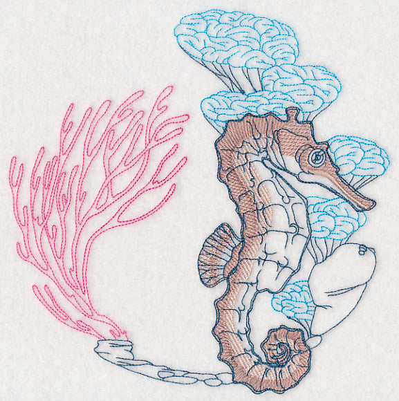Undersea Seahorse Etching
