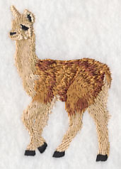 Baby Llama